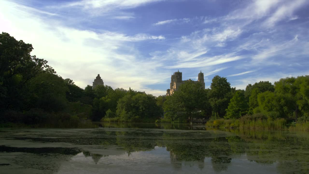 Download Stock Video Natural Pond On A Clear Day Live Wallpaper
