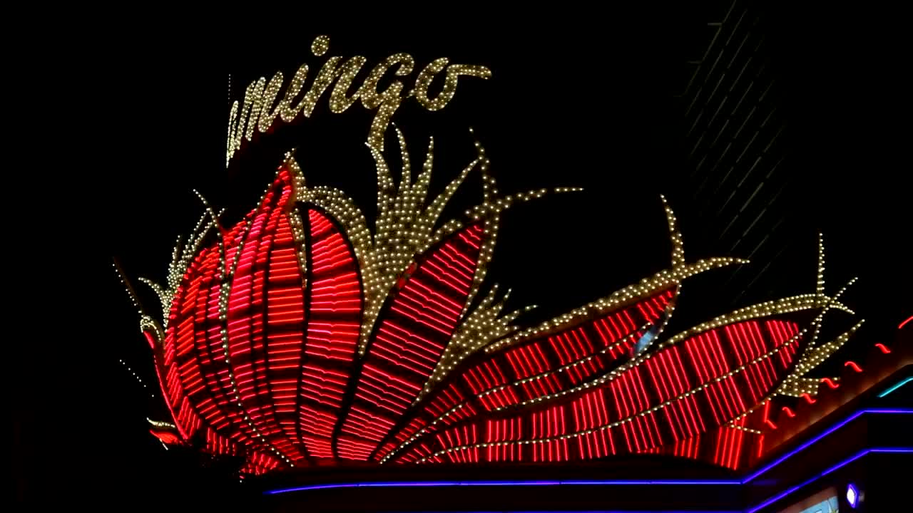 Download Stock Video Neon Flashing Lights Sign Live Wallpaper