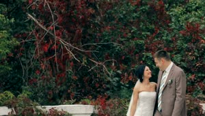 Stock Video Newlyweds In The Garden Live Wallpaper