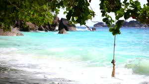 Stock Video Ocean Waves On Tropical Beachwith Rocks Live Wallpaper