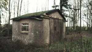 Stock Video Old Shed In The Forest Live Wallpaper