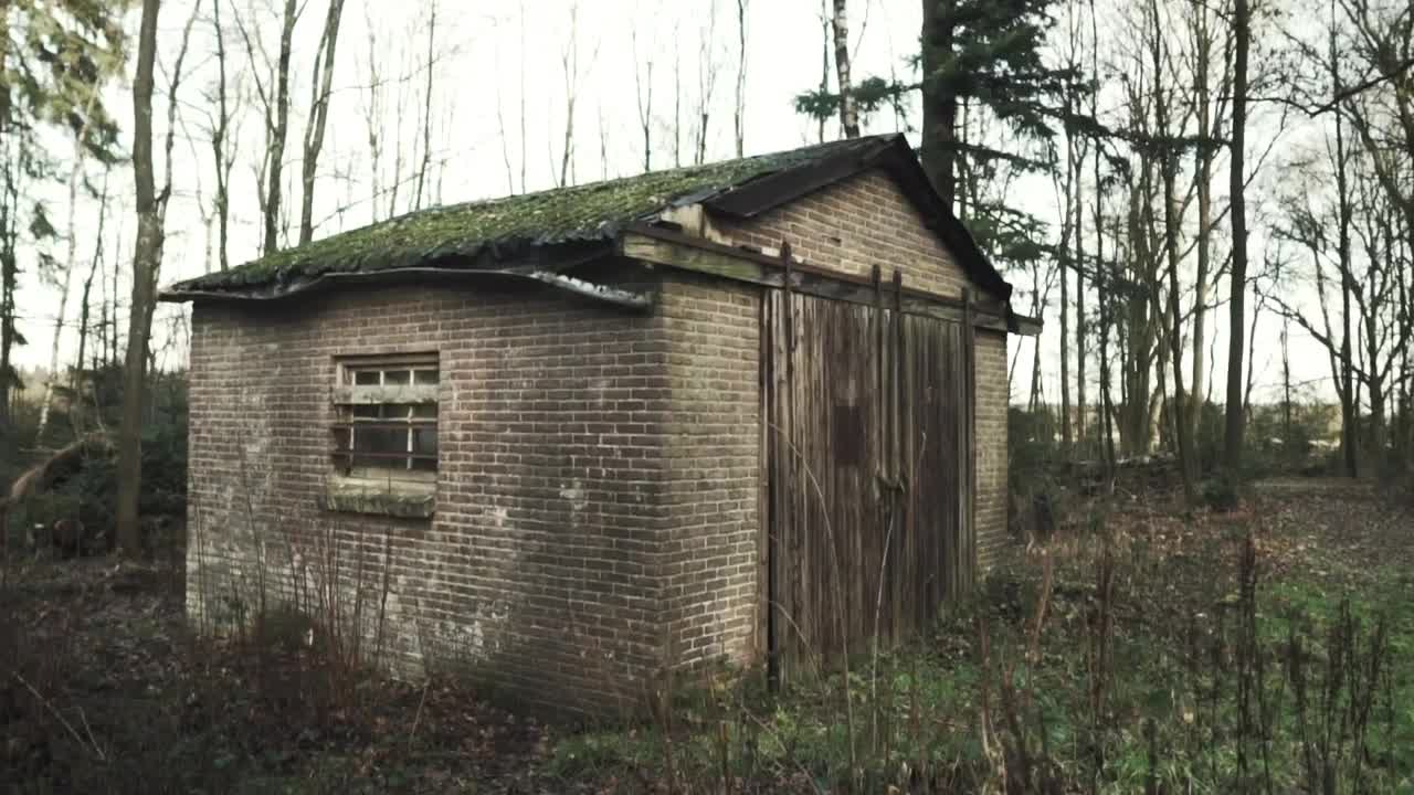 Download Stock Video Old Shed In The Forest Live Wallpaper