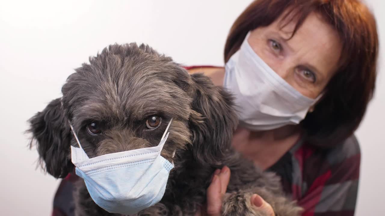 Download Stock Video Old Woman And Her Pet Wearing Mask Live Wallpaper