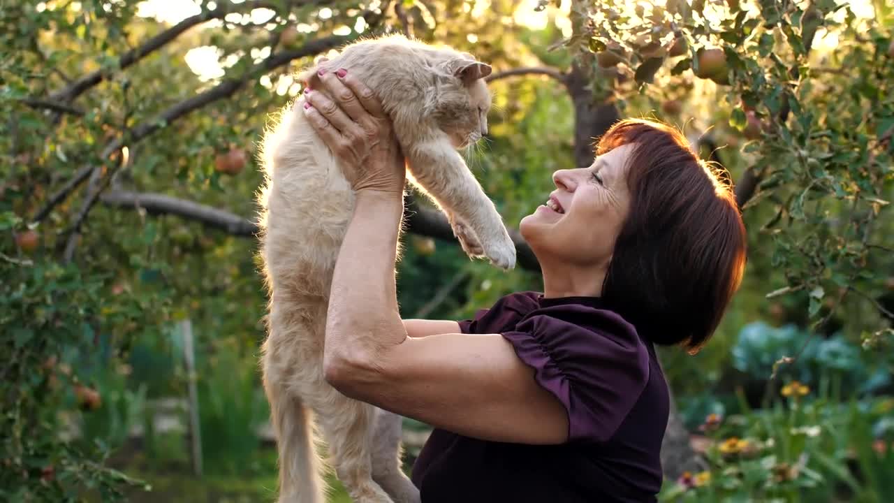 Download Stock Video Old Woman Loving Her Cat Live Wallpaper