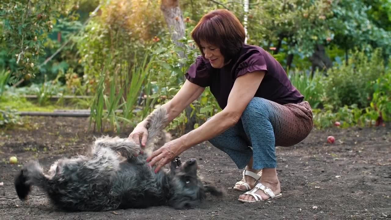 Download Stock Video Old Woman Playing With Her Dog On The Floor Live Wallpaper