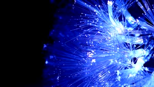 Stock Video Optic Fiber Glowing Blue In A Black Background Live Wallpaper