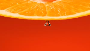 Stock Video Orange Slice On An Orange Background Live Wallpaper