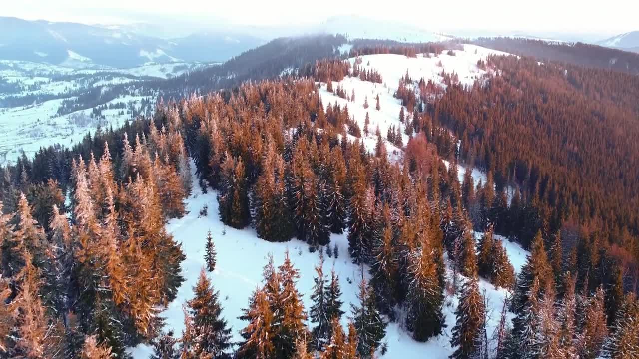 Download Stock Video Over A Mountain Covered With Snow And Pine Trees Live Wallpaper