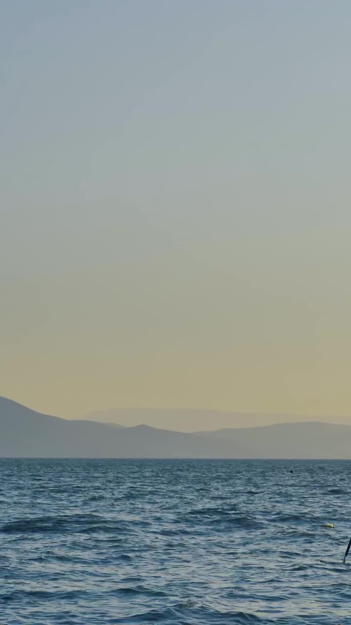 Download Stock Video Paddleboarder Live Wallpaper