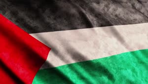 Stock Video Palestine Flag Live Wallpaper