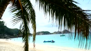 Stock Video Paradise Beach With Turquoise Water Live Wallpaper