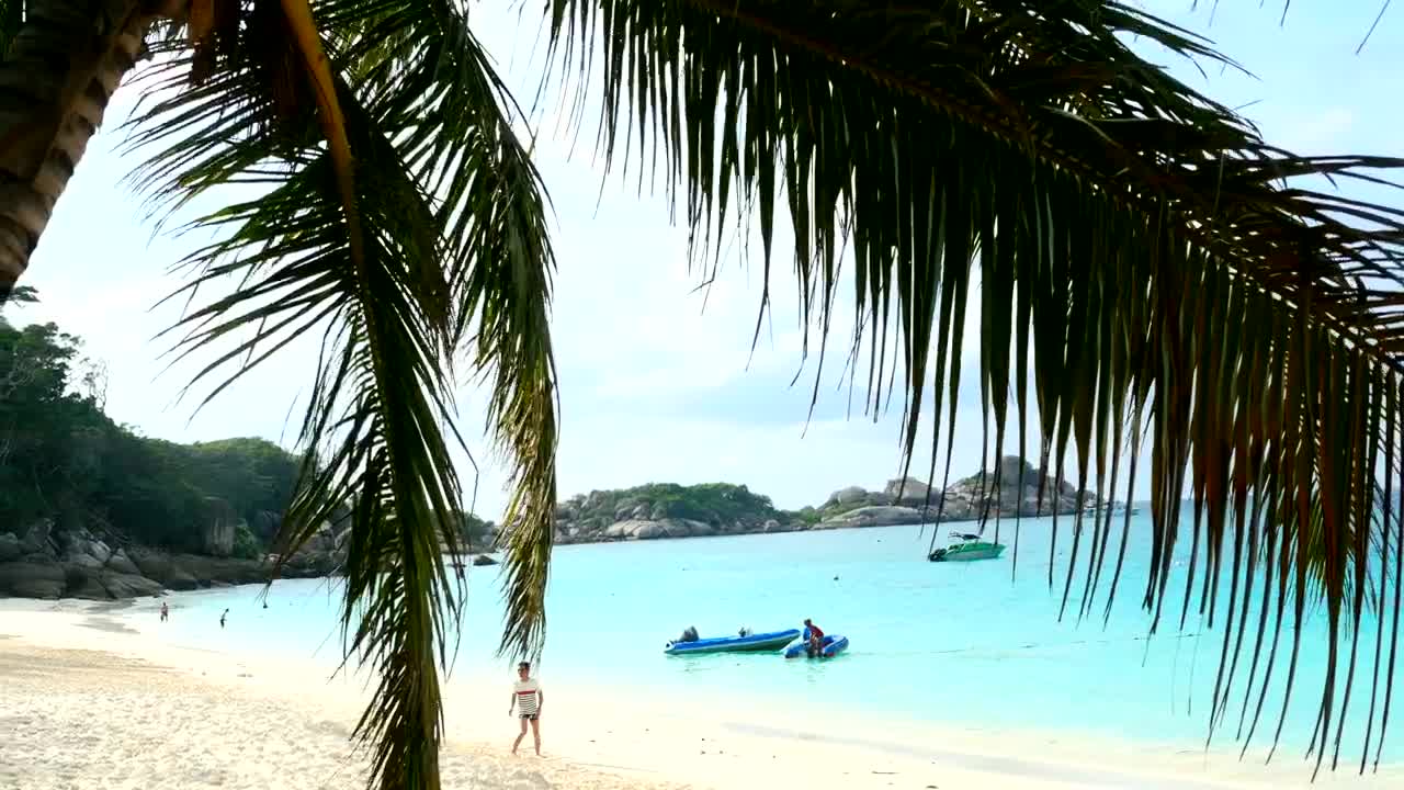 Download Stock Video Paradise Beach With Turquoise Water Live Wallpaper