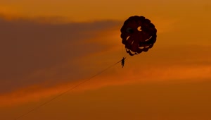 Stock Video Parasailing In An Orange Background Sky Live Wallpaper