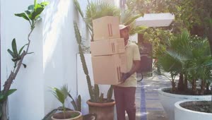 Stock Video Parcel Worker Looking For An Address Live Wallpaper