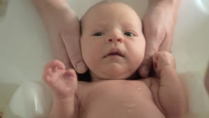 Stock Video Parents Bathing A Newborn Baby Live Wallpaper