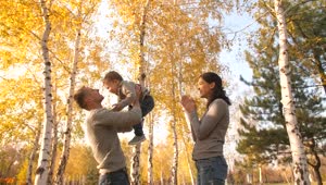 Stock Video Parents Playing With Their Little Son In The Park Live Wallpaper