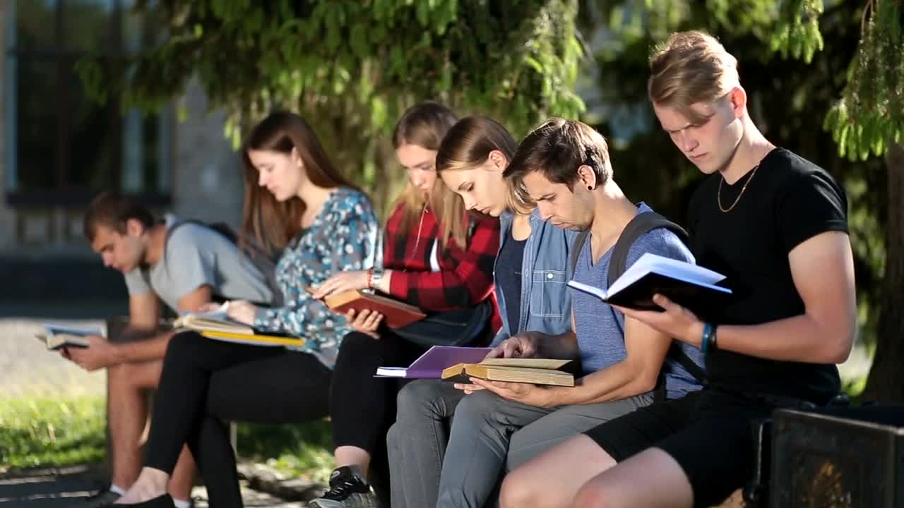 Download Stock Video People In A Garden Studying With Books In Hand Live Wallpaper