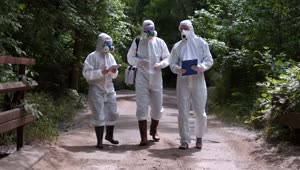 Stock Video People In Biohazard Suits Walking In The Forest Live Wallpaper
