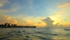 Stock Video People Swimming At Sunset Live Wallpaper