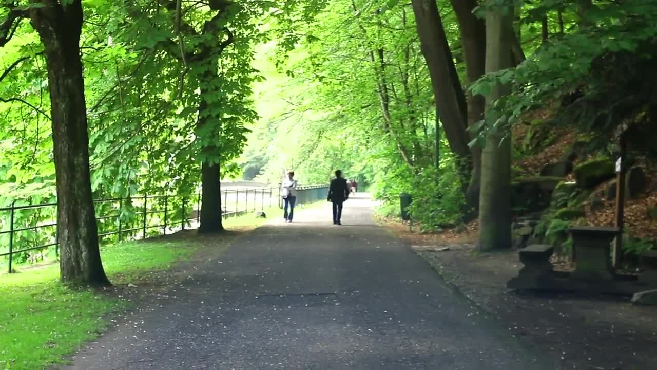 Download Stock Video People Walking In A Green Park Live Wallpaper