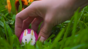 Download Stock Video Person Leaving Easter Eggs In Garden Live Wallpaper