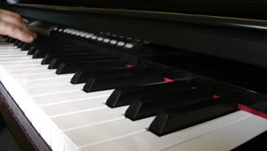 Video Stock Person Playing The Piano Close Up Live Wallpaper Free