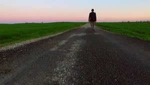 Video Stock Person Walking Down A Path Between Large Fields  LargeLive Wallpaper Free