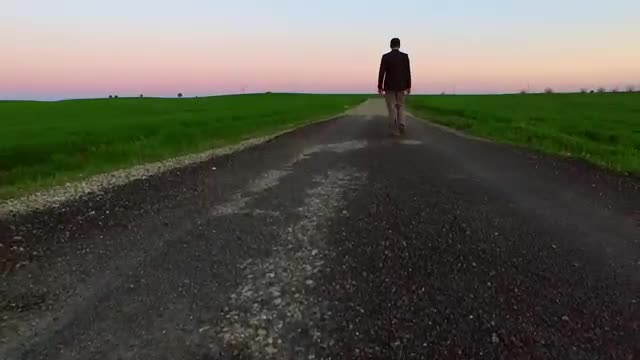 Download Video Stock Person Walking Down A Path Between Large Fields Live Wallpaper Free