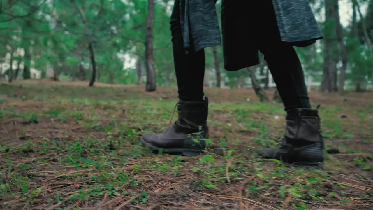 Download Video Stock Person Walking In A Forest Live Wallpaper Free