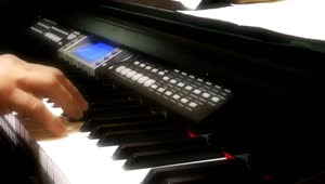 Video Stock Pianist Practicing A Song Live Wallpaper Free
