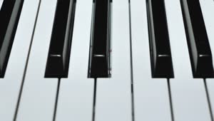 Video Stock Piano Keyboard Live Wallpaper Free