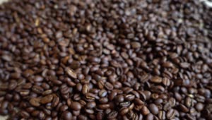 Video Stock Picking Up Coffee Beans From A Table Live Wallpaper Free