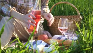 Video Stock Picnic Day With Wine And Cheese Live Wallpaper Free
