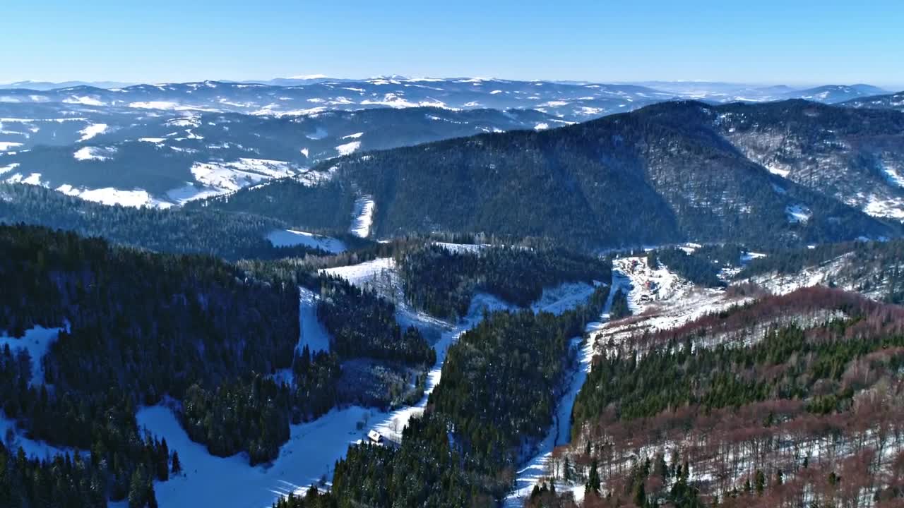 Download Video Stock Pine Forests In Snowy Mountains Aerial Landscape Live Wallpaper Free