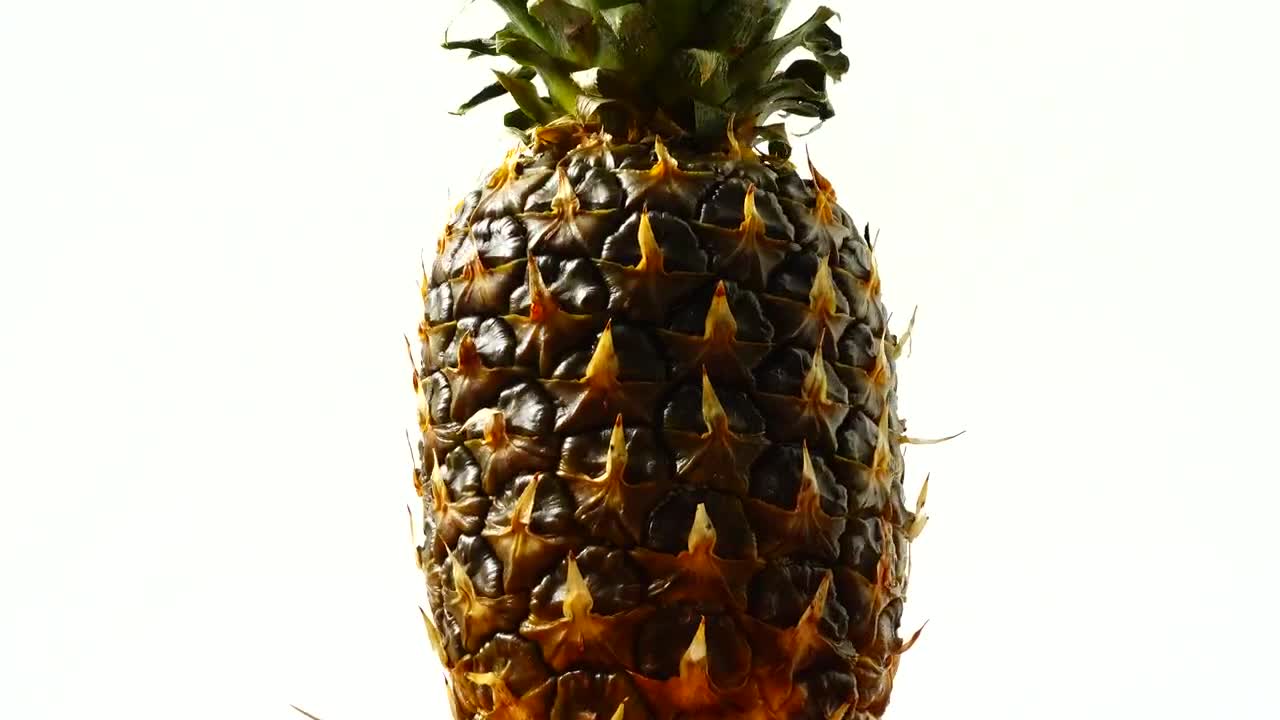 Download Video Stock Pineapple Spinning On A White Background Live Wallpaper Free
