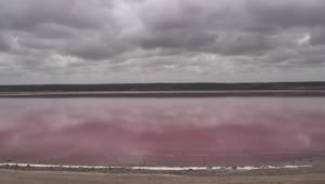 Video Stock Pink Lake Under A Cloudy Sky Live Wallpaper Free