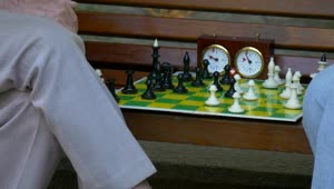 Video Stock Playing Chess On A Bench Live Wallpaper Free