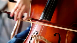 Video Stock Playing The Cello Close Up Live Wallpaper Free