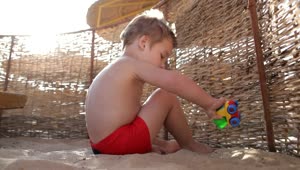Video Stock Playing With A Toy In The Sand Live Wallpaper Free
