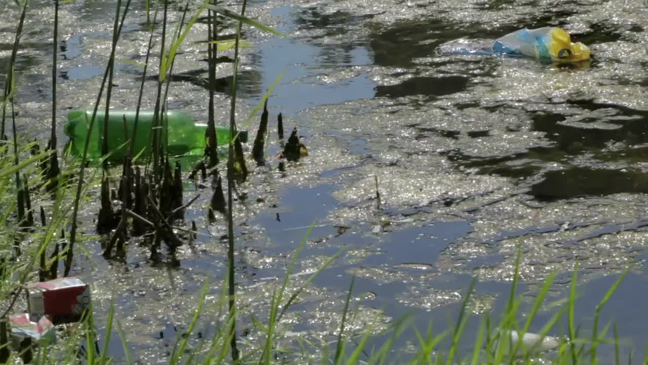 Download Video Stock Pollution In The Water Live Wallpaper Free