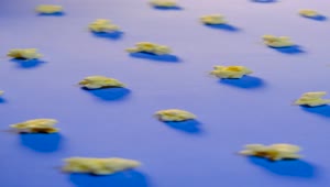 Video Stock Popcorn On A Blue Surface Changing Size In Stop Motion Live Wallpaper Free