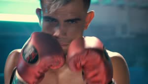 Video Stock Portrait Of A Boxer Training Live Wallpaper Free