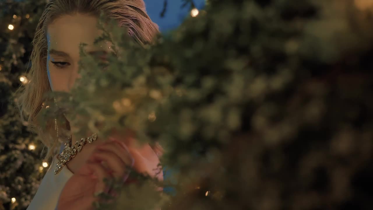 Download Video Stock Portrait Of A Girl With Winter Makeup Live Wallpaper Free