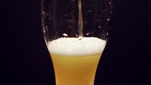 Video Stock Pouring A Cold Beer Slowly Into A Glass Live Wallpaper Free