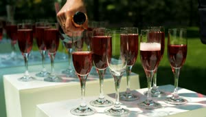 Video Stock Pouring Sparkling Wine Into Glasses Live Wallpaper Free