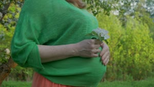 Video Stock Pregnant Woman Walking Through Woodland Live Wallpaper Free