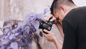 Video Stock Pro Photographer Taking Photos Of Purple Flowers Live Wallpaper Free