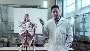 Video Stock Professor Explaining Human Anatomy Live Wallpaper Free