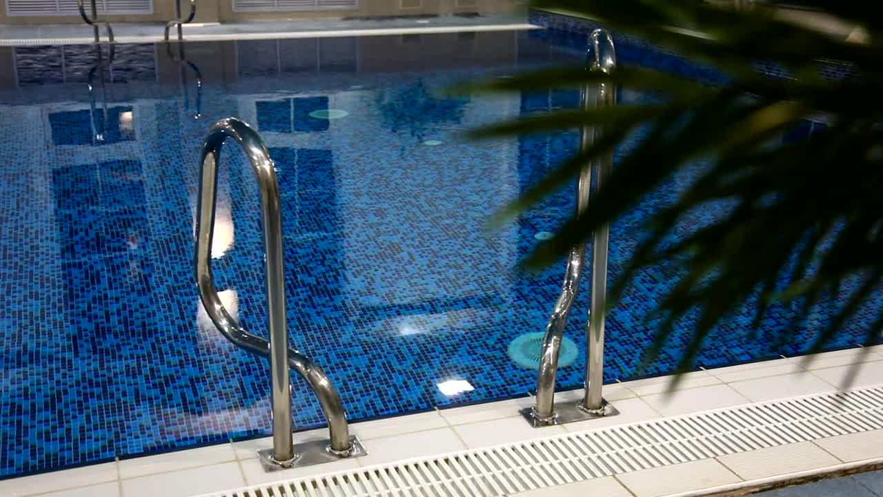 Download Video Stock Quiet Blue Pool And Palm Live Wallpaper Free