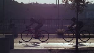 Video Stock Race Cyclists In The Street Live Wallpaper Free